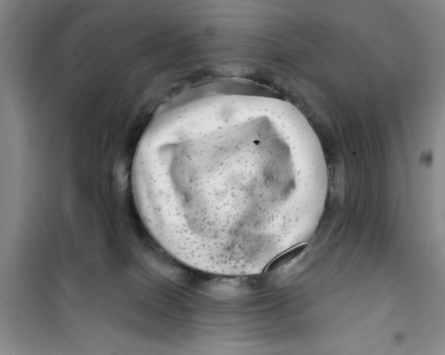 X0000100970086200807221220