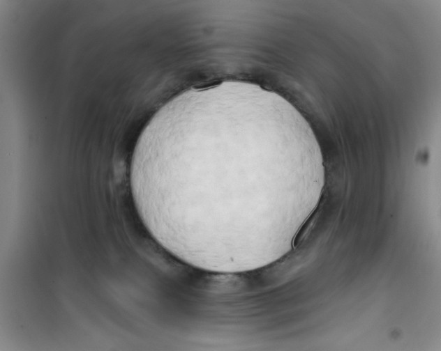 X0000100970087200807221220