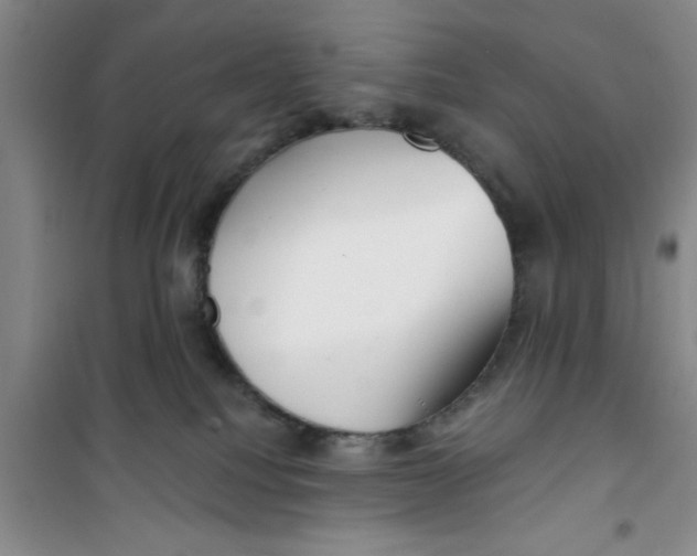 X0000100970088200807221220