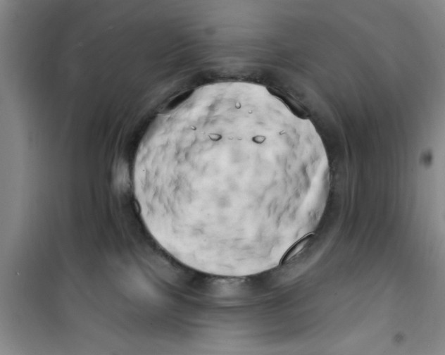 X0000100970089200807221220