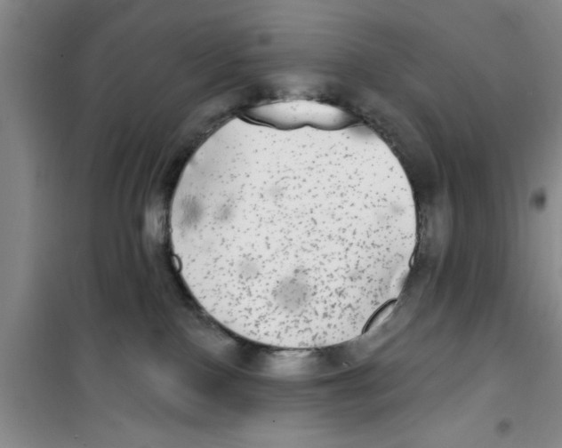 X0000100970090200807221220