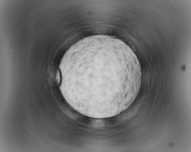 X0000100970091200807221220