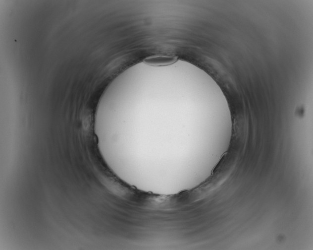 X0000100970092200807221220