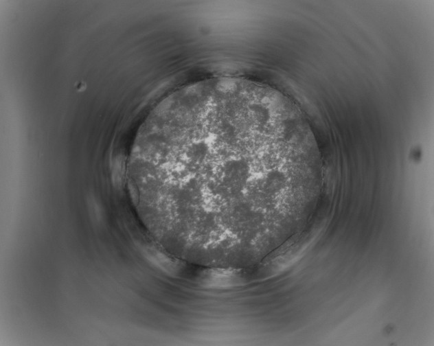 X0000100970093200807221220