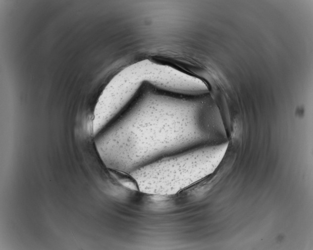 X0000100970095200807221220