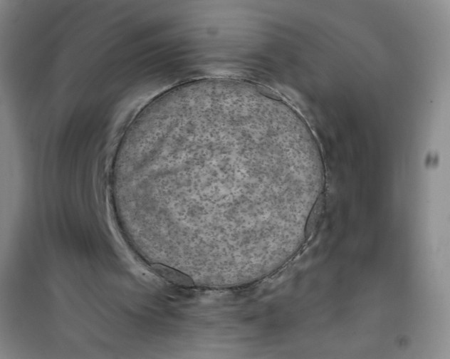 X0000100970097200807221219