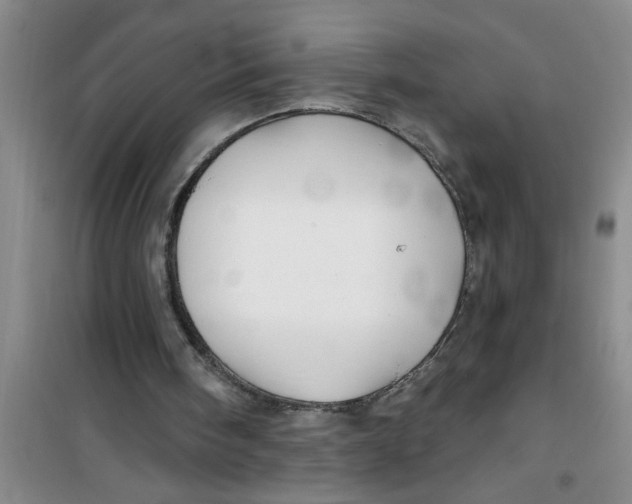 X0000100970098200807221219