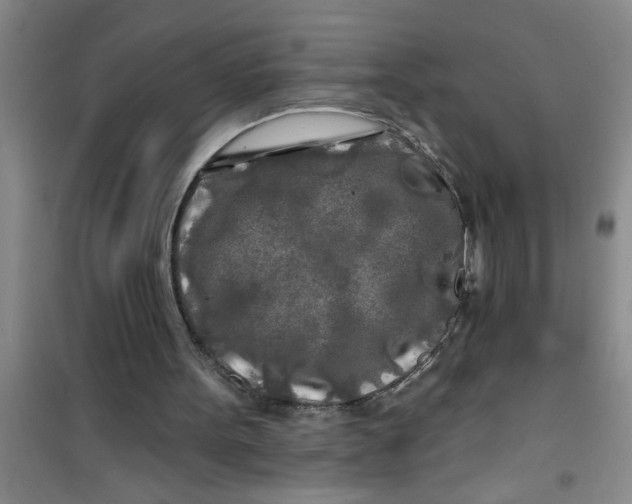 X0000100970099200807221219
