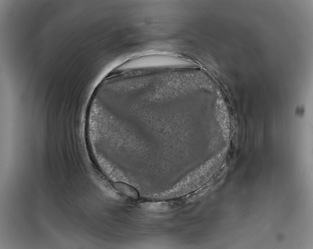 X0000100970100200807221219