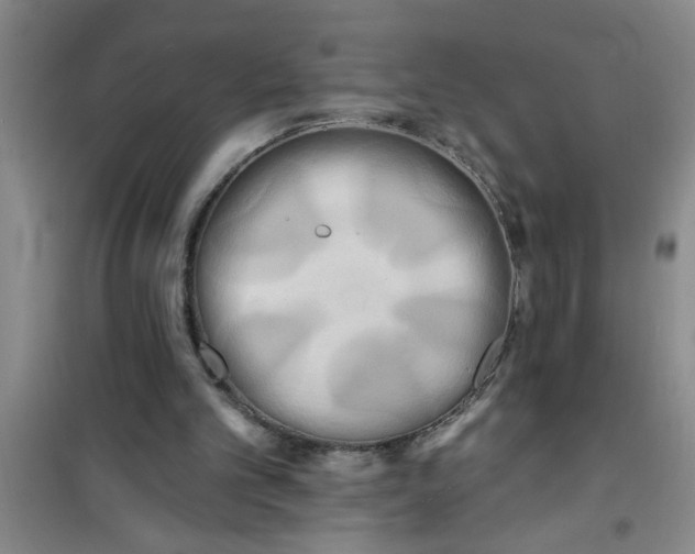 X0000100970101200807221219