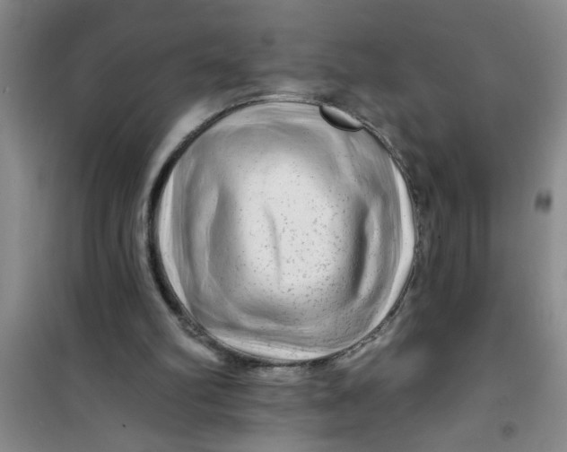 X0000100970102200807221219