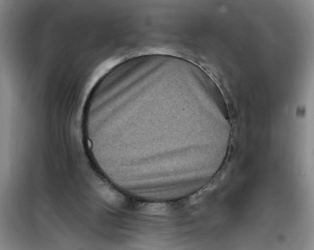 X0000100970104200807221219