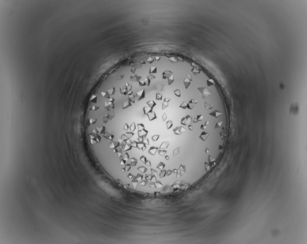 X0000100970105200807221219
