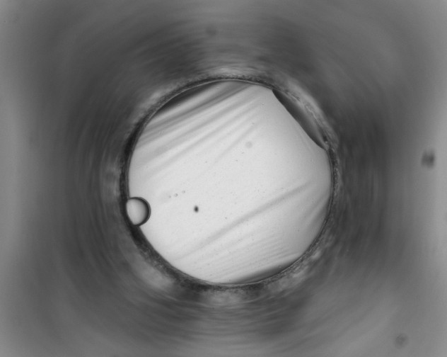 X0000100970106200807221219