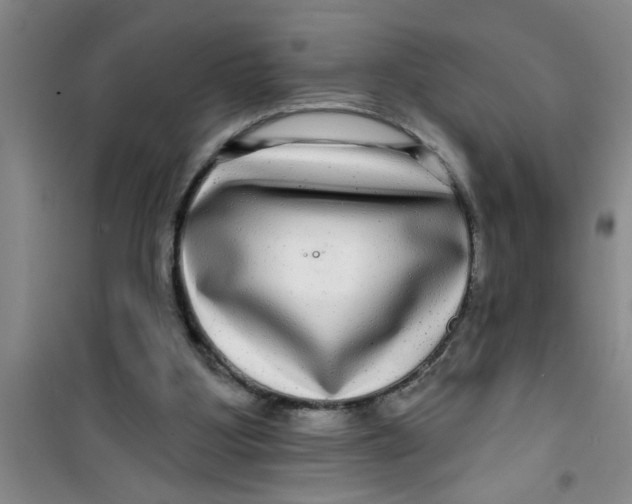 X0000100970107200807221219