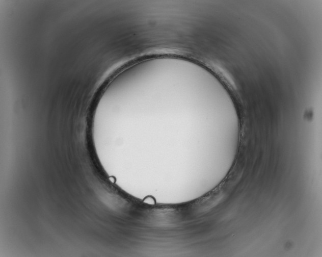 X0000100970108200807221219