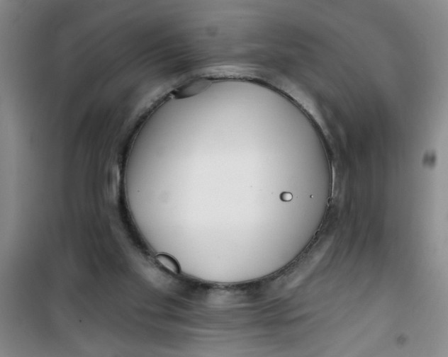 X0000100970109200807221219