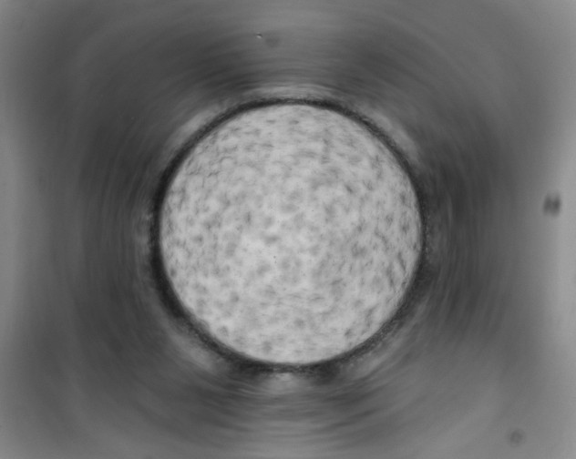 X0000100970111200807221219