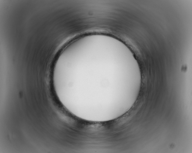 X0000100970112200807221219
