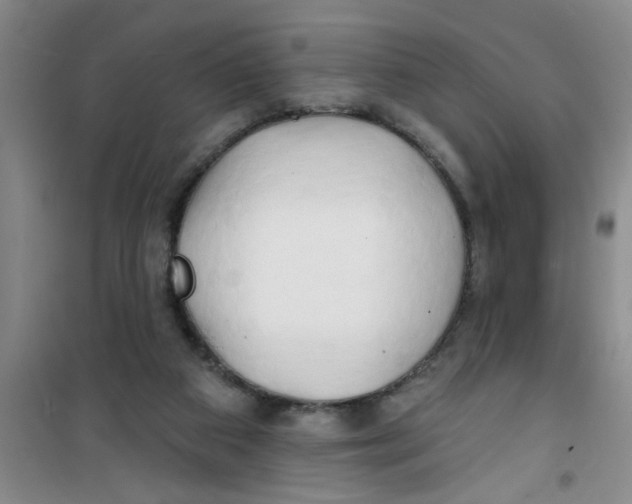 X0000100970113200807221219
