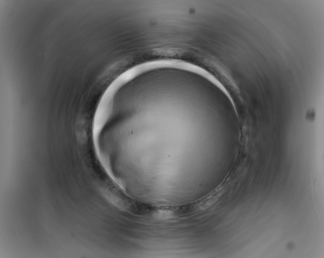 X0000100970114200807221219