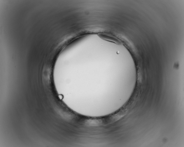 X0000100970115200807221219