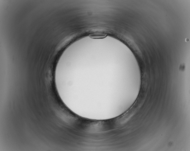X0000100970116200807221219
