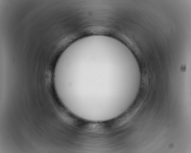 X0000100970117200807221219