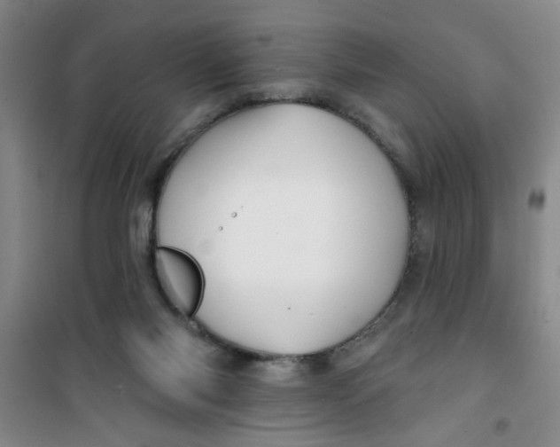X0000100970118200807221219