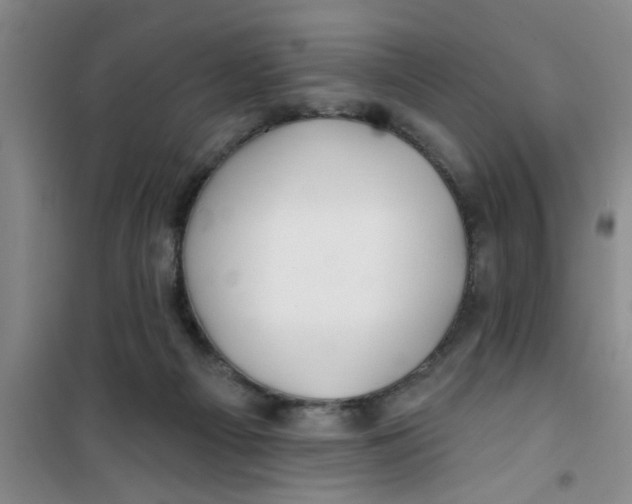 X0000100970121200807221219