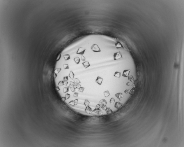 X0000100970123200807221219