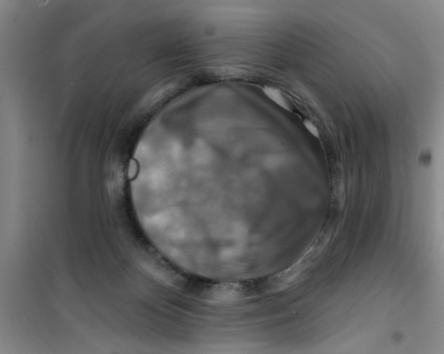 X0000100970124200807221219