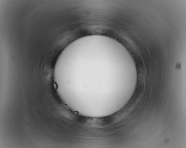 X0000100970125200807221219