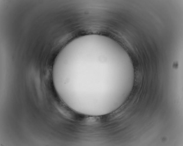 X0000100970126200807221219