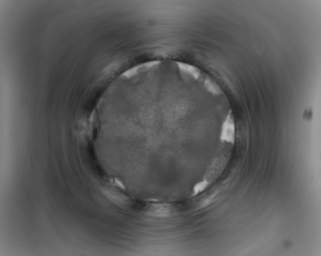 X0000100970127200807221219