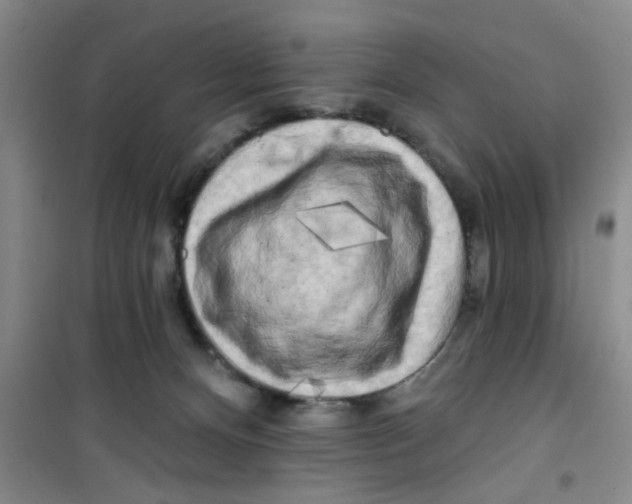 X0000100970128200807221219