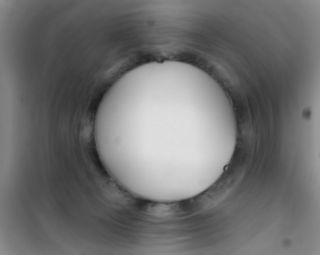 X0000100970129200807221219