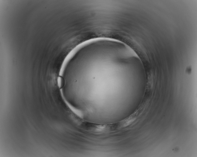X0000100970130200807221219