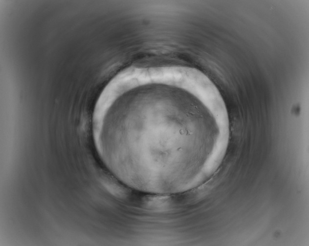 X0000100970132200807221219