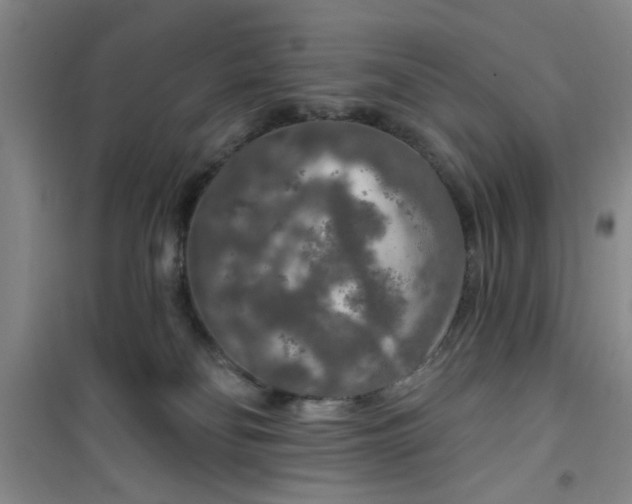X0000100970134200807221219