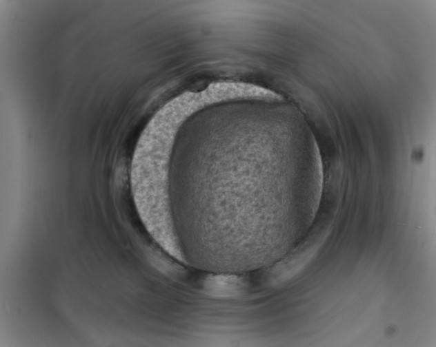 X0000100970137200807221219