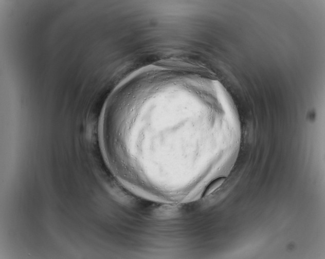 X0000100970138200807221219