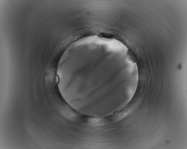 X0000100970139200807221219