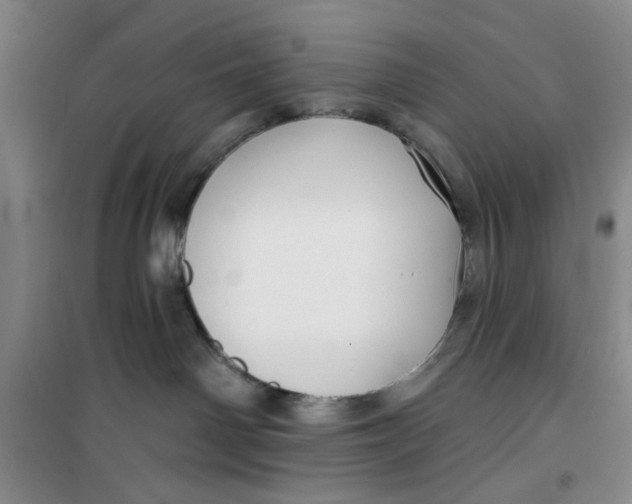 X0000100970142200807221219