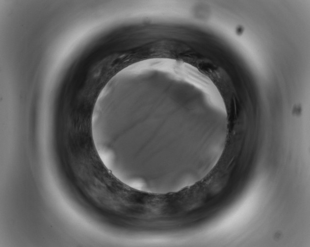 X0000100970143200807221219