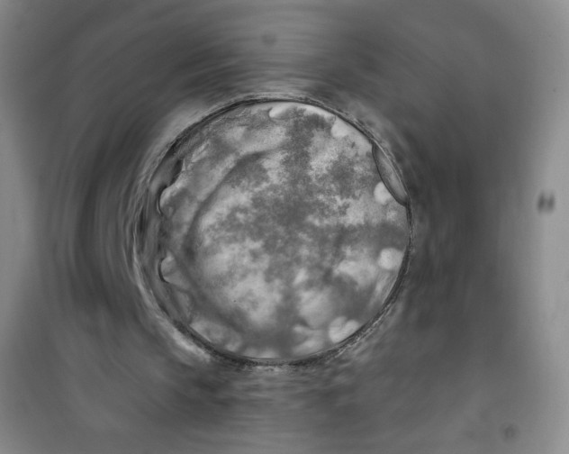 X0000100970145200807221218