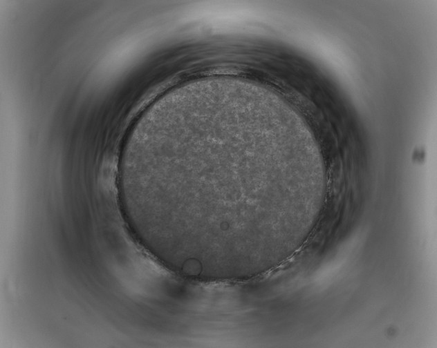 X0000100970146200807221218