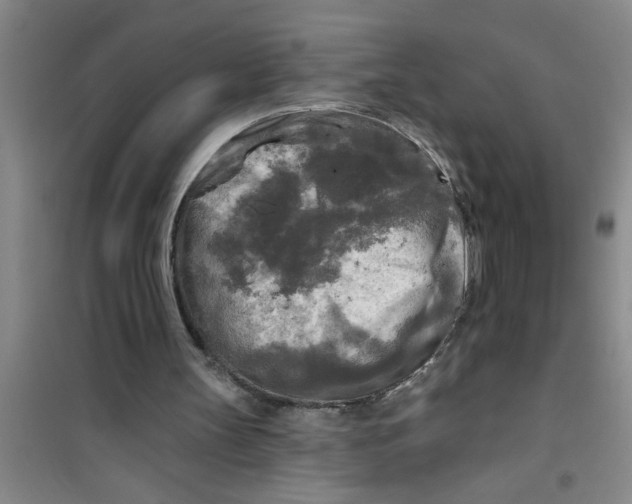 X0000100970147200807221218