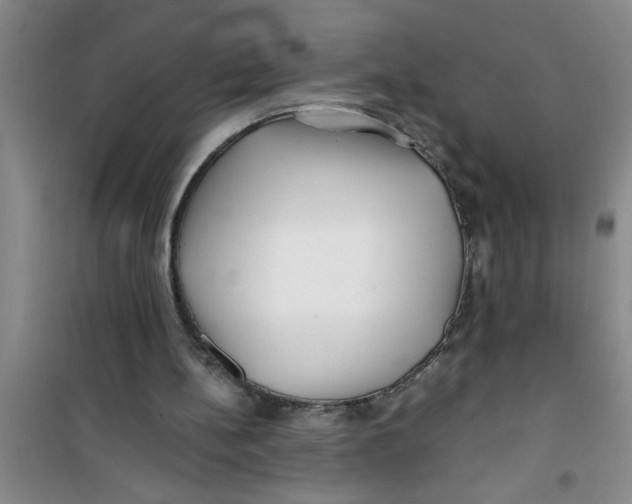 X0000100970148200807221218