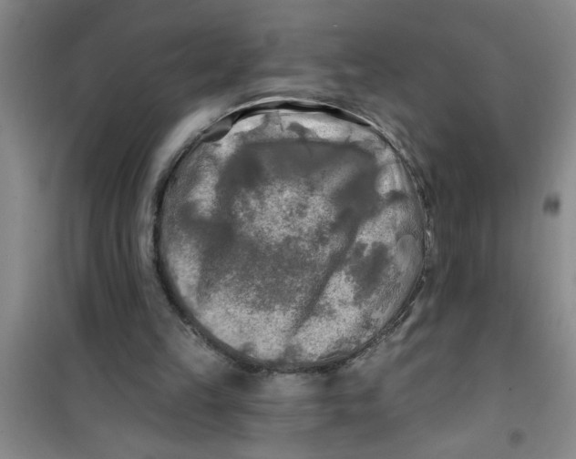 X0000100970149200807221218